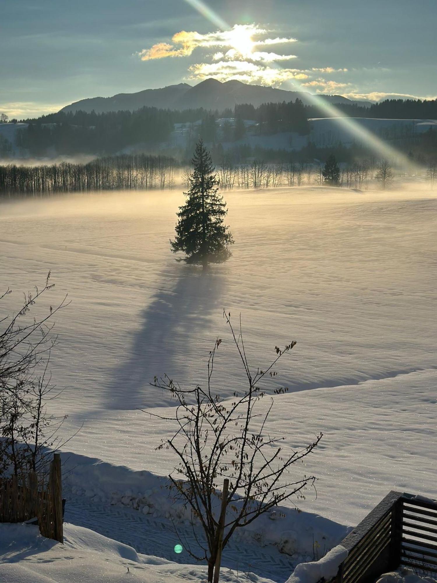 Alpen Wohlfuehlquartier Villa Bayersoien Buitenkant foto